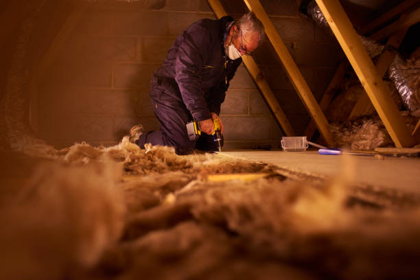 Best Eco-Friendly Insulation in Long Beach, MD